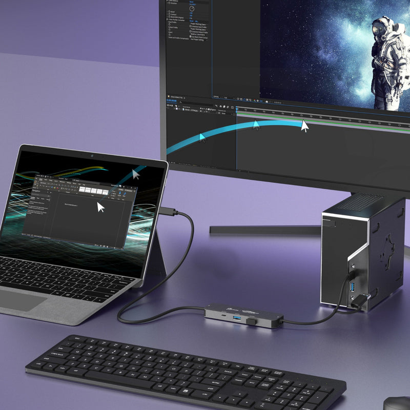 Wormhole Switch™ Display Sharing Hub
